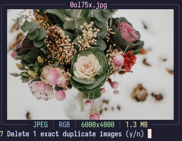 Exact duplicate image